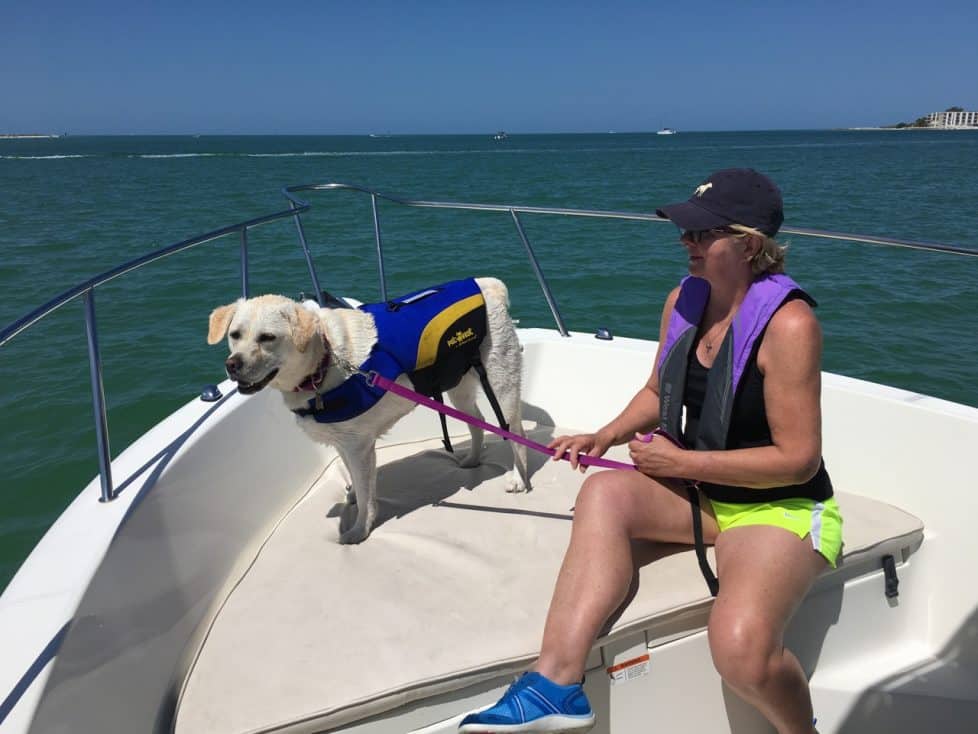 Gracie on a boat