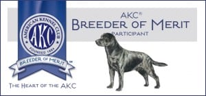 AKC breeder of Merit-Endless Mt. Labradors