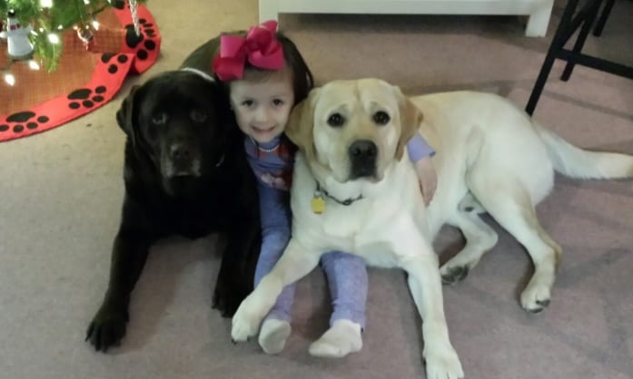 Labbies and Babies: The Labrador Retriever and the Growing Family ...