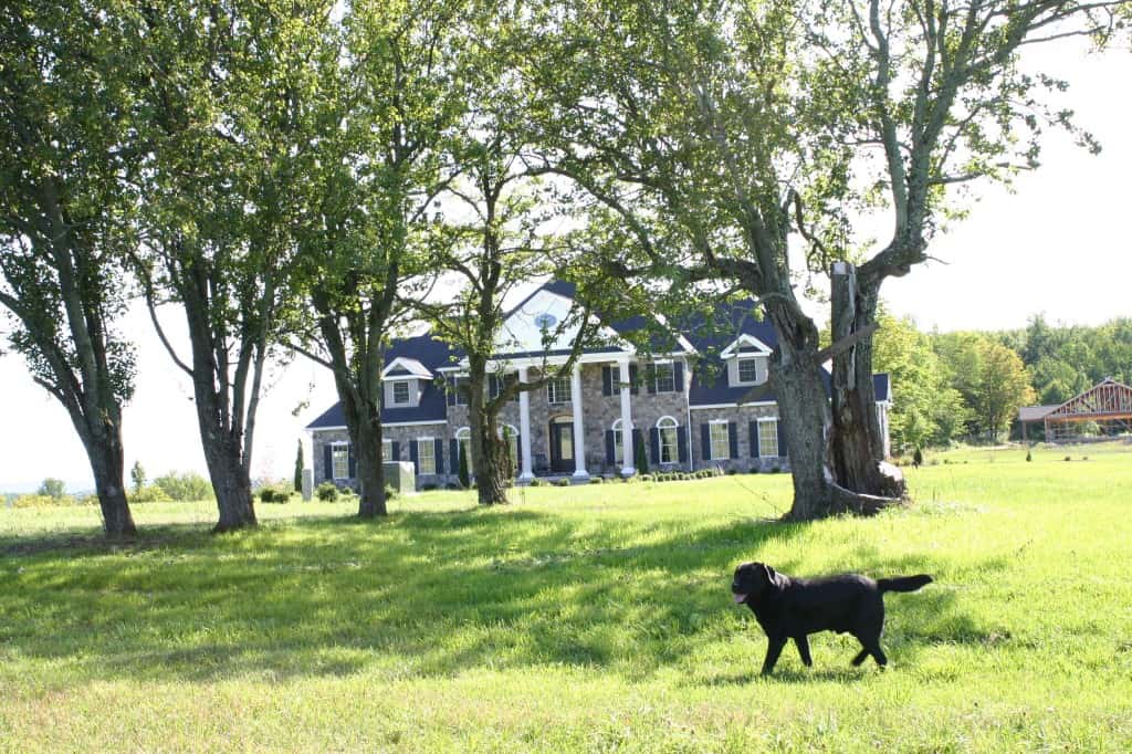 labs kennel and house and Doc in forground