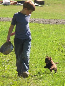 Ryan and puppy- Endless Mt. Labradors