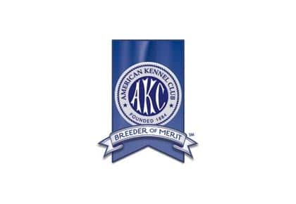 Akc website hot sale breeders