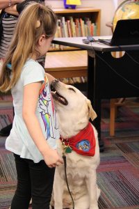 Hopey doing work in a school- Endless Mt Labradors