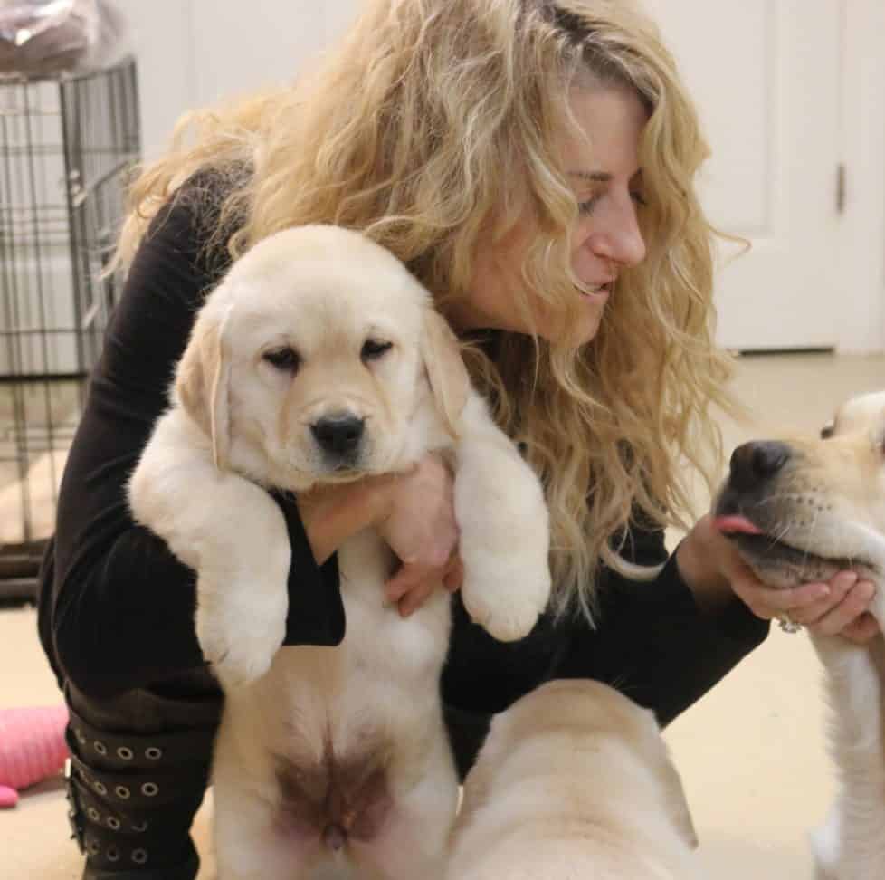 donna-holding-yellow-lab-puppy-endless-mt-labradors-akc-breeder-labrador-retriever-puppies