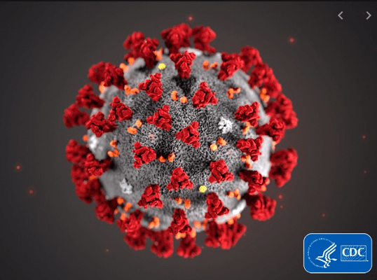 rendering by CDC or coronavirus