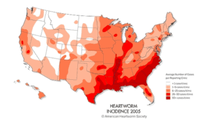 Heartworm-Incidence-2005