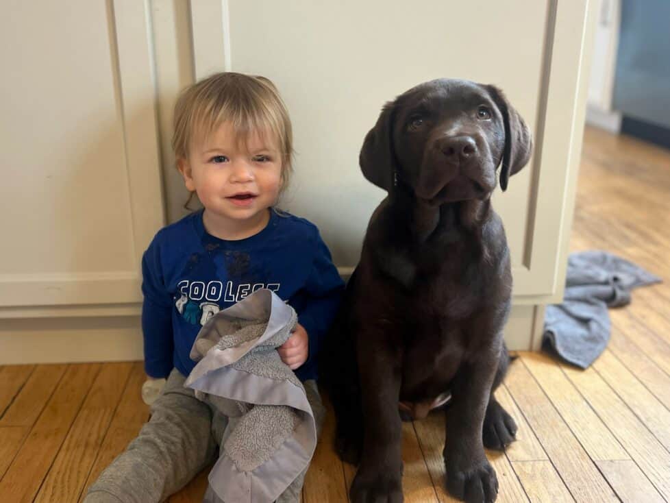 Bogey-and-his-boy-pupppy-endless-mt-labradors