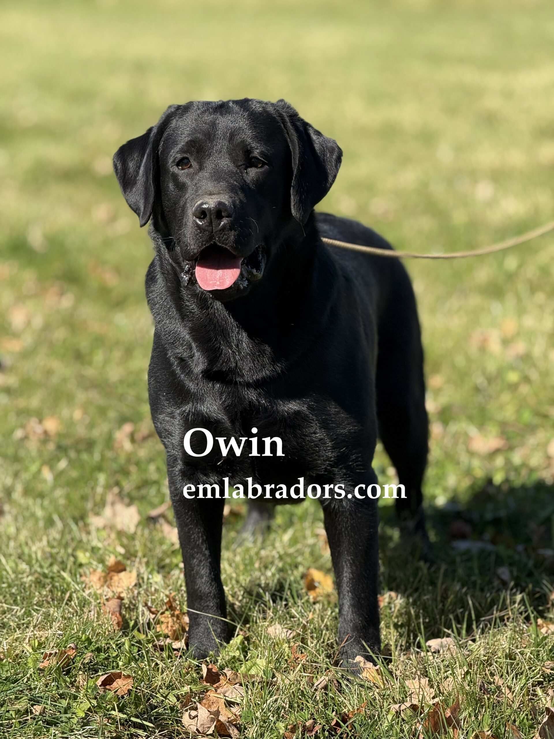 Owin name2