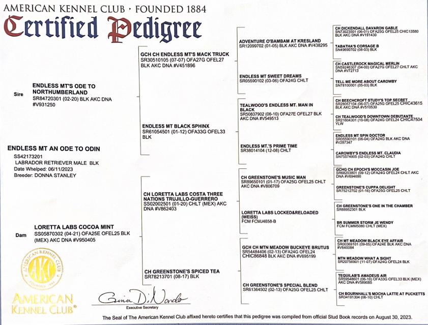 Owin pedigree