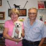 The Wilkins and Grace- Endless Mt. Labradors