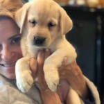 donna-and-yellow-lab-puppy-endless-mt-labradors-akc-breeder-labrador-retriever-puppies