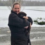 black-lab-puppy-endless-mt-labradors-akc-breeder-labrador-retriever-puppies